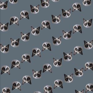 Meet your Posher, Dinh