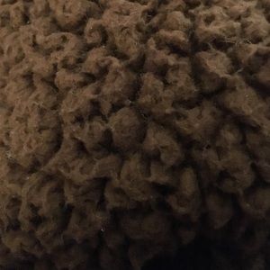 Meet your Posher, Rosie