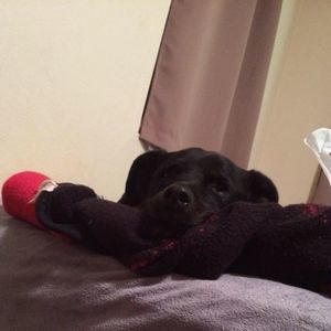 Meet your Posher, Lorena