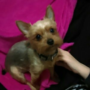 Private bundle listing