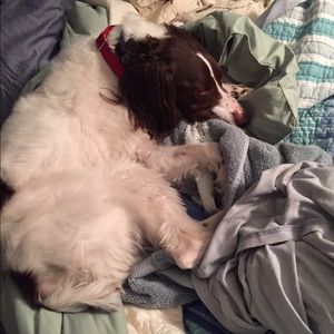 Meet your Posher, Karen