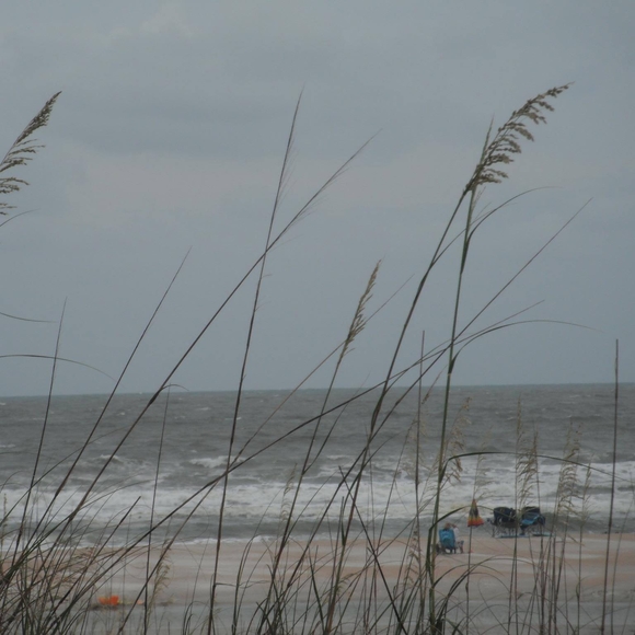 Meet your Posher, Cathy