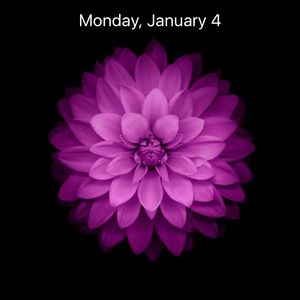 Meet your Posher, Karla