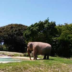 Meet your Posher, Roxana