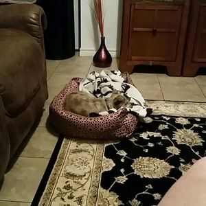 Meet your Posher, Geri marie