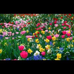 Meet your Posher, Kelli