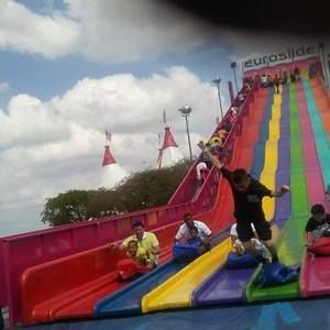 Meet your Posher, Delores