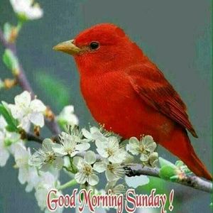 Meet your Posher, Veronique