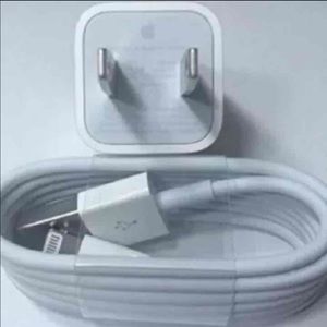 Original Apple charger & plug