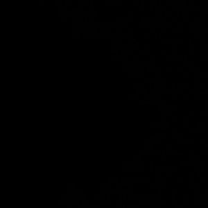 Meet your Posher, Alan