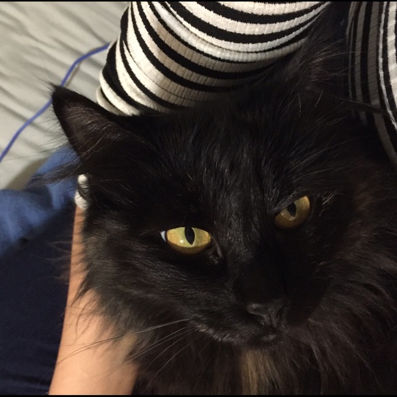 About me - Picture 3 of 4