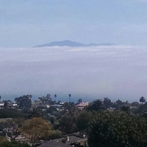 Meet your Posher, Patty