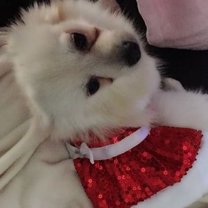 Meet your Posher, Xiaowen