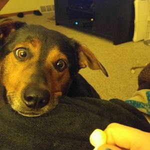 Meet your Posher, Sara