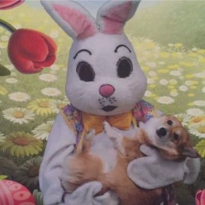 Meet your Posher, Michele