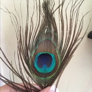 Meet your Posher, Gisela