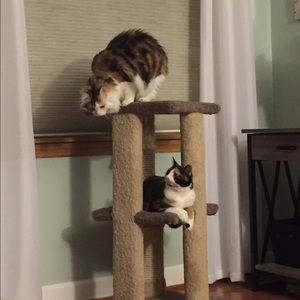 Meet your Posher, Katelyn