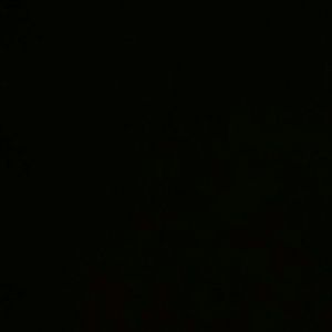 Meet your Posher, Wanda