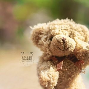 Meet your Posher, Gisella