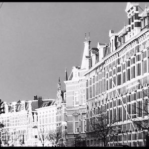 Meet your Posher, Alison