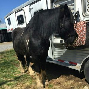 Meet your Posher, Tracey