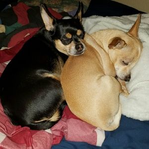 Meet your Posher, Miranda