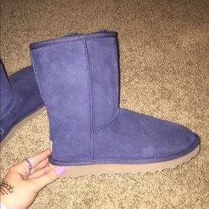 Short dark blue uggs