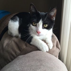 Meet your Posher, Michaela