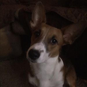 Meet your Posher, Donna