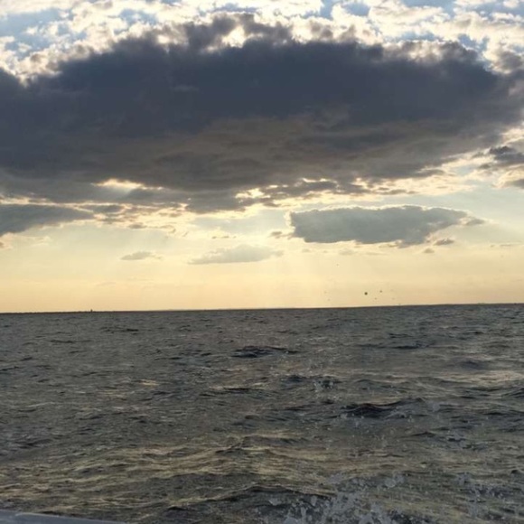 Hello Friend 👋🏻 - Picture 2 of 2