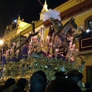 Meet your Posher, Elvia