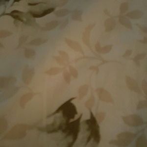 Meet your Posher, Lily