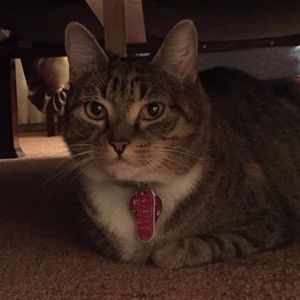 Meet your Posher, Hannah