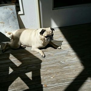 Meet your Posher, Deirdre