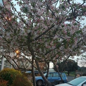 Meet your Posher, Denicia