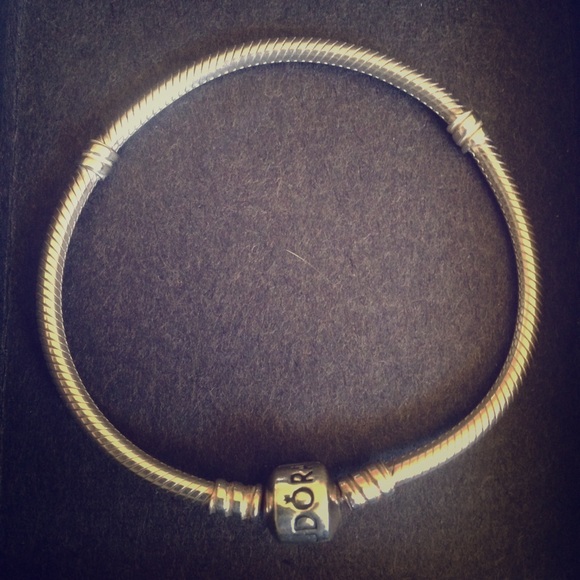 Iconic Silver Charm Bracelet Pandora