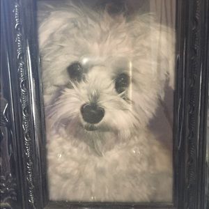 Meet your Posher, Lorraine