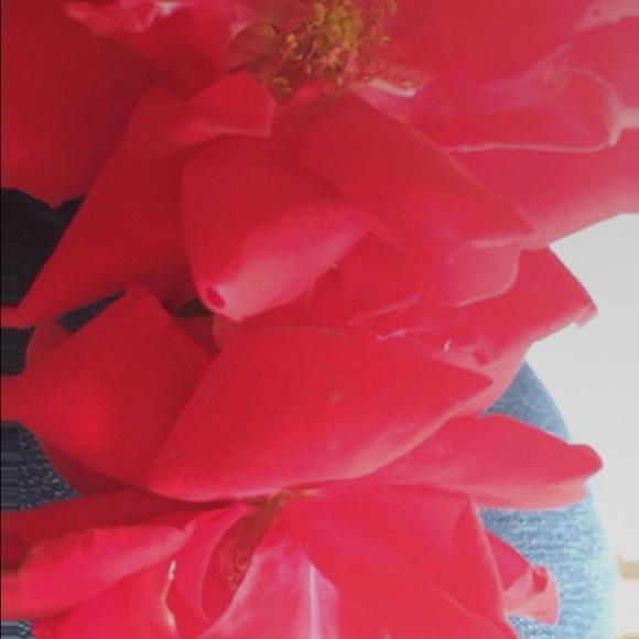 Meet your Posher, Kassy