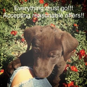 Make offers I can't refuse!!