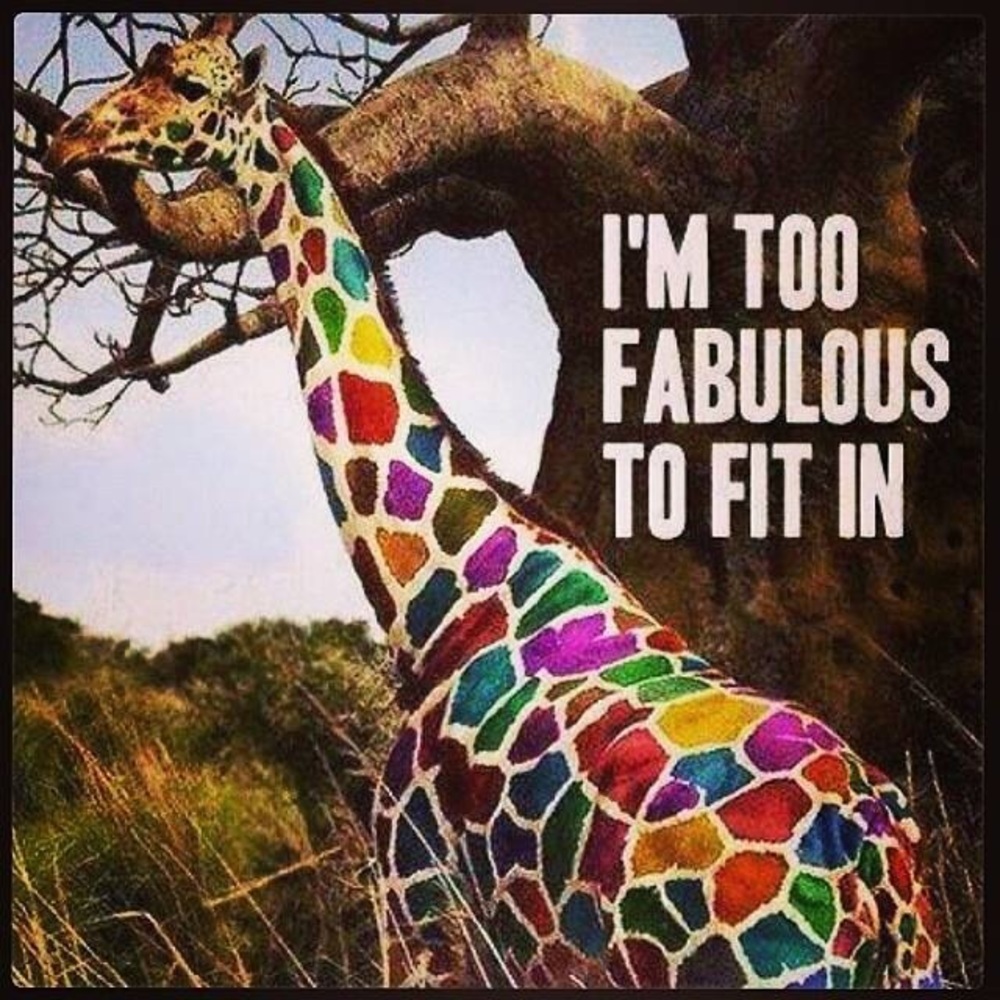 Meet your Posher, Leeann