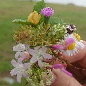 Meet your Posher, Kari