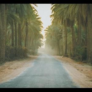 Meet your Posher, Zainab