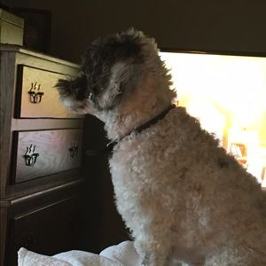 Meet your Posher, Taunya