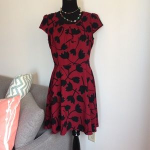 LOFT Tulip Dress