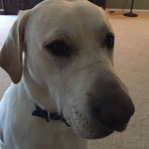 Meet your Posher, Kate