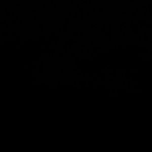 Meet your Posher, Victor