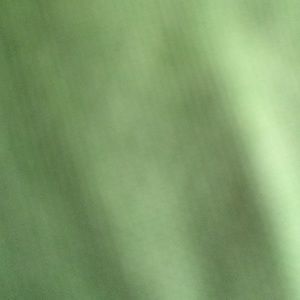 Meet your Posher, Tember