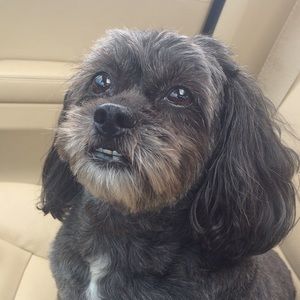 Meet your Posher, Renee