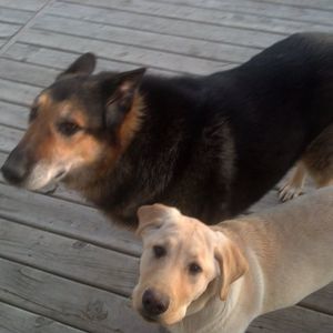 Meet your Posher, Zeka