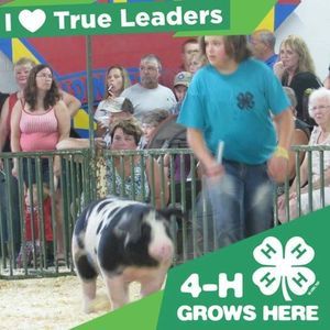 Meet your Posher, Misty